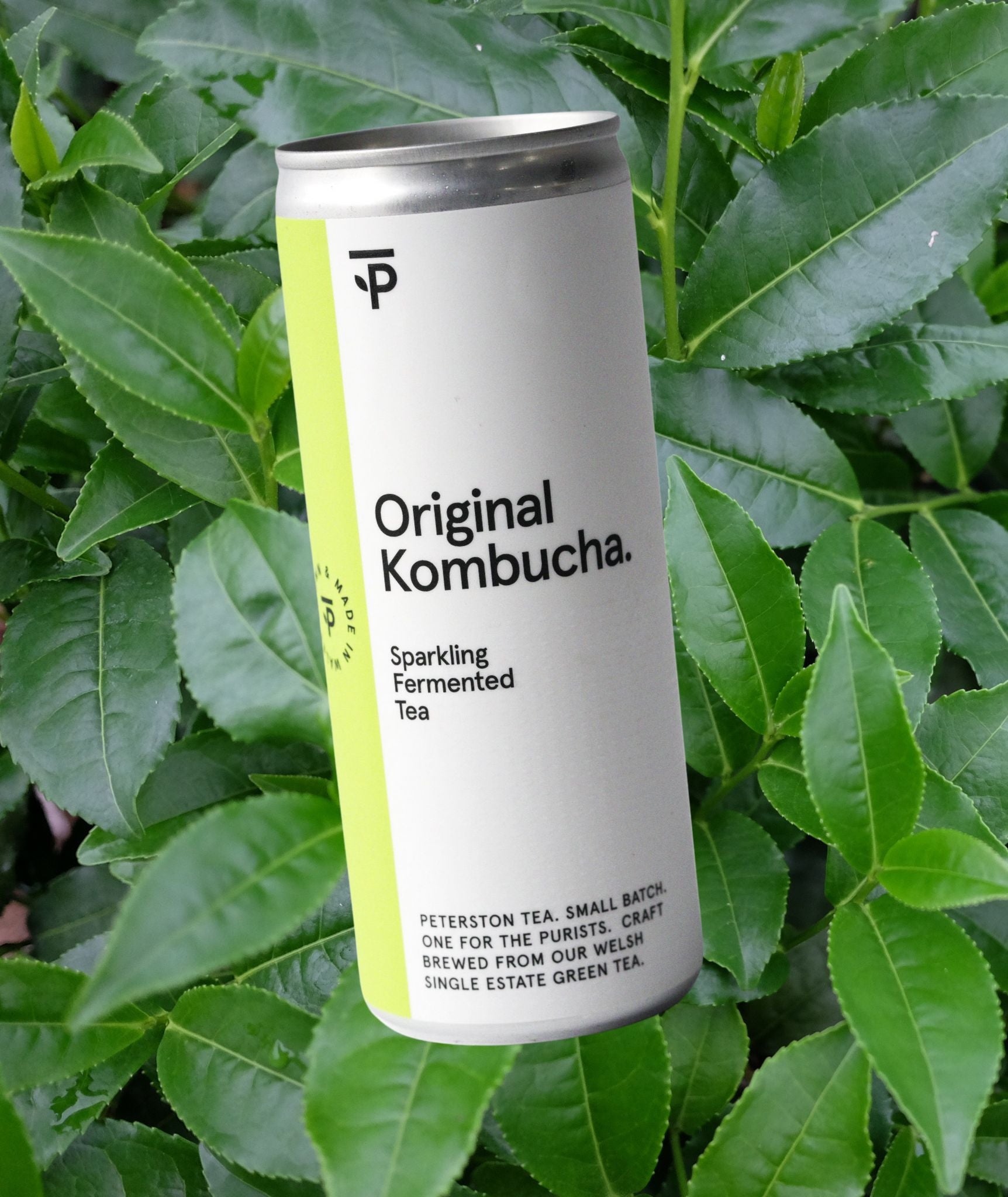Premium Kombucha