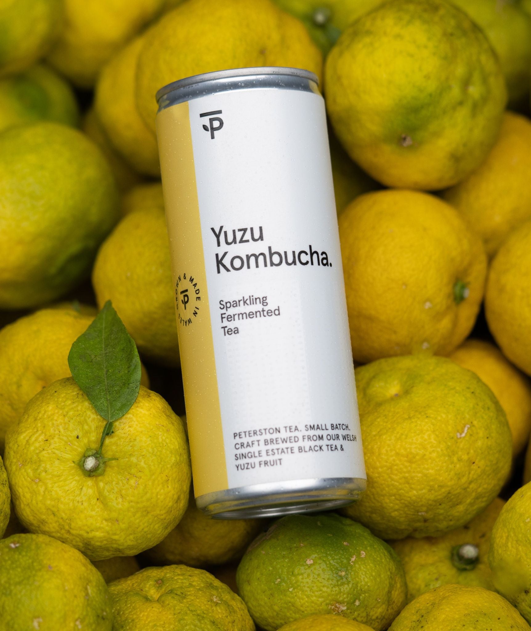 Premium Kombucha