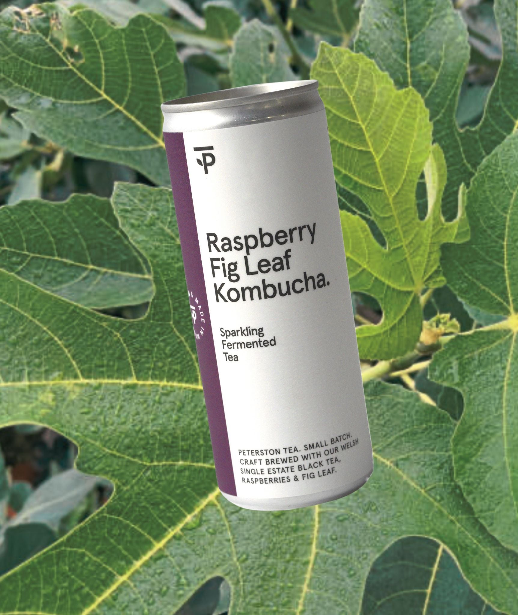 Premium Kombucha