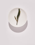 STÉM - ORGANIC WELSH STEAMED GREEN TEA 2025