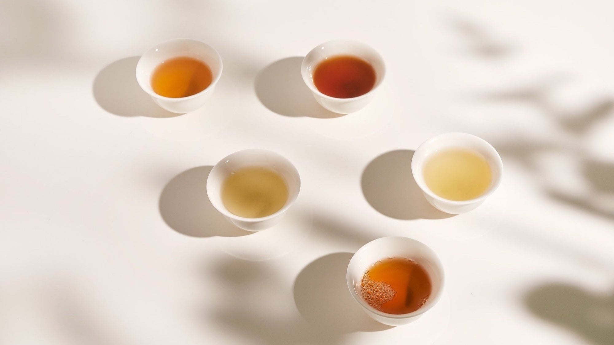 Tea Tour & Tasting