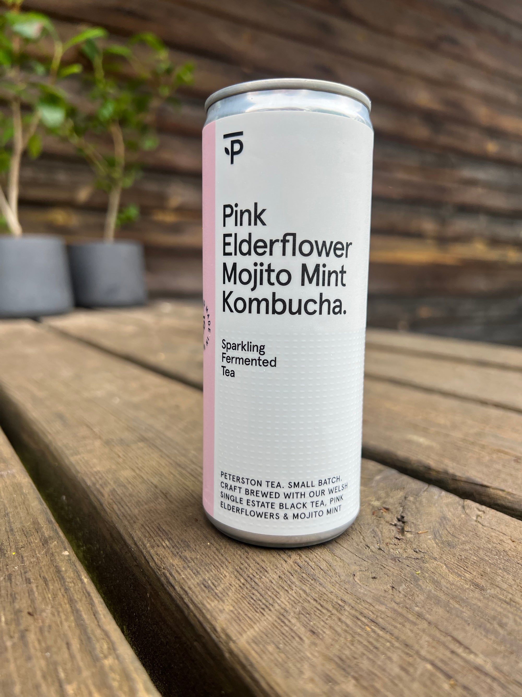 Premium Kombucha