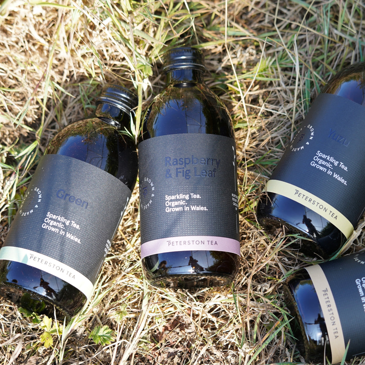 Several Peterston Tea sparkling tea bottles with dark labels are arranged on grass outdoors. The center bottle is labeled Raspberry & Fig Leaf, with other visible flavor labels including Green and Yuzu.