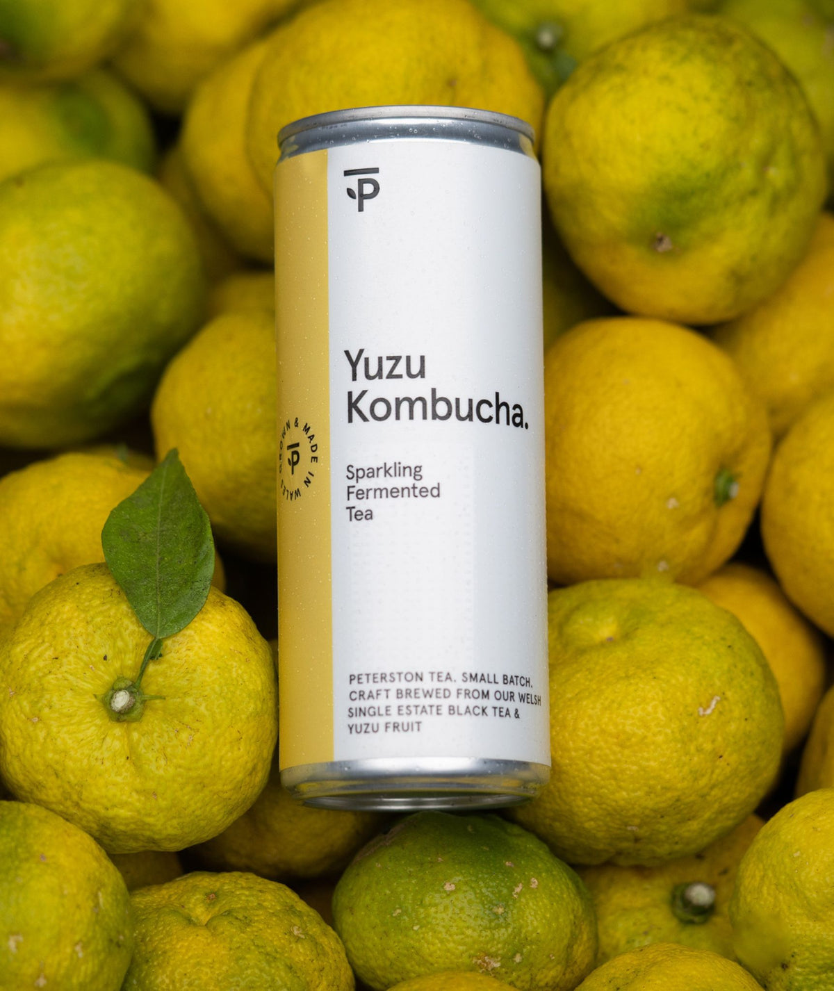 Organic yuzu Kombucha can surrounded by yuzu fruits at Peterston Tea